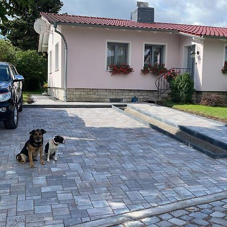 Apartament Haus Marianne Ettersburg Zewnętrze zdjęcie
